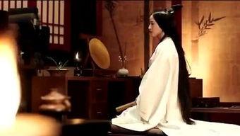 娱乐随风记,揭秘娱乐圈的繁华与喧嚣