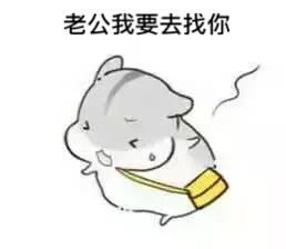 夫妻恩爱表情包,恩爱表情包里的甜蜜瞬间