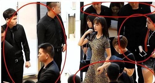 明星耍大碗,揭秘耍大碗背后的奢华生活