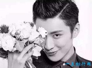 娱乐男明星人气榜,盘点最新娱乐男明星人气排行榜