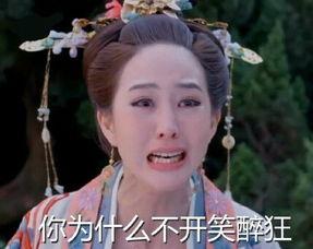 武媚娘带字表情包