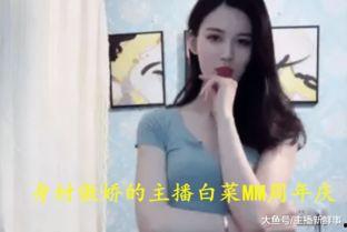 女主播七姐,网络女主播的崛起与影响力