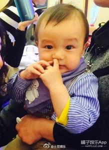 娱乐圈大眼儿子,大眼儿子的闪耀之路