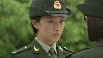 向兵资料,从基层奋斗者到行业领军者的蜕变之路