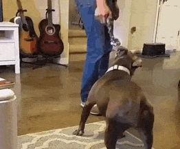 玩泥巴搞笑图片